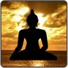Nature Sounds Free Radio