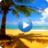 Nature Sounds To Sleep