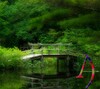 Nature Theme By Arjun Arora
