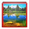 Nature Wallpapers