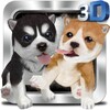 Naughty Dog