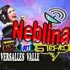 Neblina Stereo