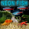 Neon Fish