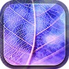 Neon Leaves Live Wallpaper