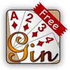 Net Gin Free