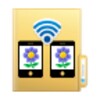 New File Explorer