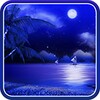 Night Beach Live Wallpaper