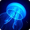 Night Light Jelly Fish