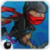 Ninja Fury