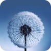 Note Lwp