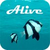 Ocean Alive Video Wallpapers