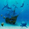 Ocean Dolphins LWP