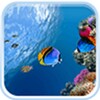 Ocean Fish Live Wallpaper