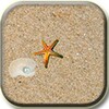 Ocean Floor