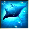 Ocean HD Free