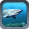 Ocean Life