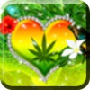 One Love