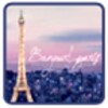 Paris Go Launcher EX