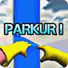 ParkurCrazyBackflipJump