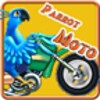 Parrot Moto