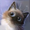 Peper Kitten