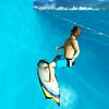 PEPI Surf 3D