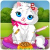 Pet Cat Animal Games
