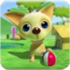 Pet DayCare