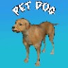 Pet Dog