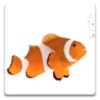 Pet Fish Tank