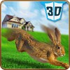 Pet Rabbit Vs Stray Dog 3D