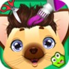 Pet Vet Hair Doctor