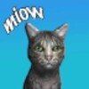 PetCat