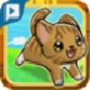 PetDash