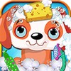PetWashSalon