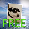 PhotoFlight Slideshow FREE