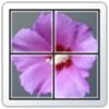 Photo(Number) Puzzle
