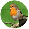 PhotoPuzzle