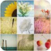 Photos Wallpapers Collection