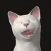 Piano Cats Free