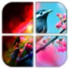 Pic Frame Effects