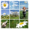 Pic Stitch Collage