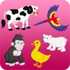 Picture Book For Kids - Animals