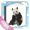 Picture Book For Toddlers