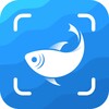 Picture Fish - Fish Identifier
