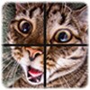 Picture Puzzle 2 In 1