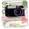 Picute