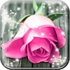 Pink Rose Live Wallpaper HD