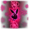 Pink Winter Dream Live Screensaver