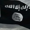 Pirate Flag Free